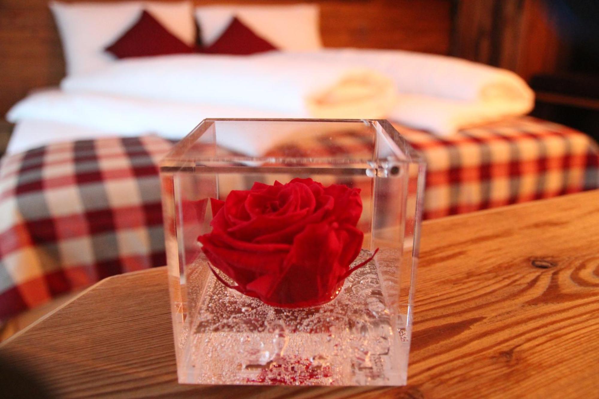 Green Rose Livigno Ngoại thất bức ảnh